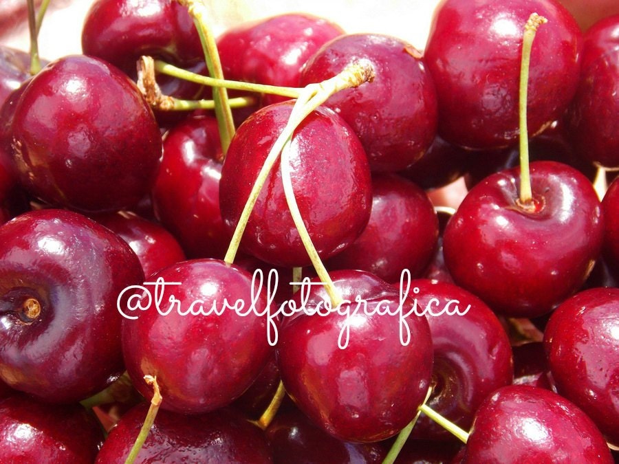 Cherries Australia Food Photography Red 8 x 10 Print Kitchen Art