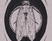 cicada back patch