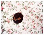 Antlers: Floral, 8x10, Color, Fine Art Photograph, Wallpaper