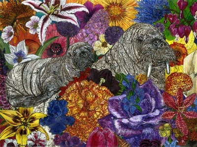 Baby and Mama Walrus 9x12 fine art giclee print