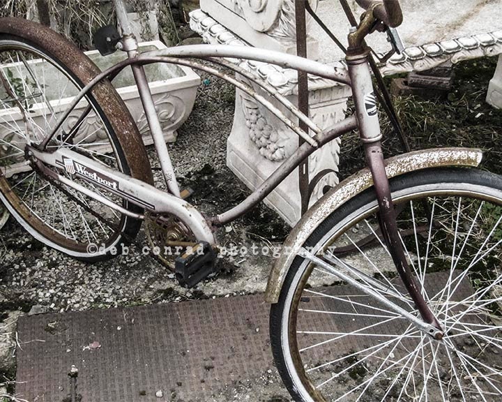 vintage bicycle 1