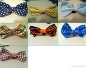 Bowtie add-on to a dog collar