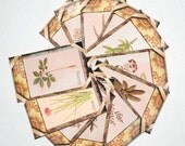 Herb Tag Set of 12