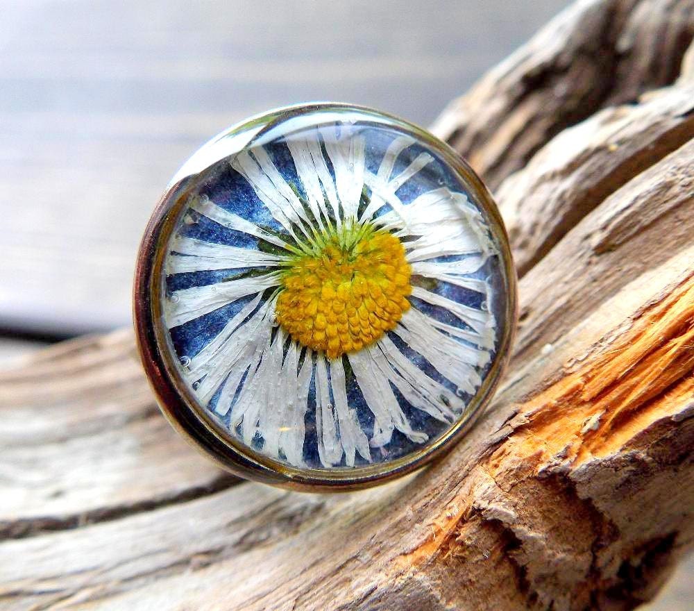 white daisy flower ring, resin jewelry, real pressed flower ring, botanical, sterling silver, adjustable