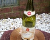 Wine Bottle Bird Feeder