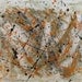 Original Artwork - PAINTING Untitled 410mm x 510mm  Acryllic on Box Canvas ready to hang - Bipolar Artist
