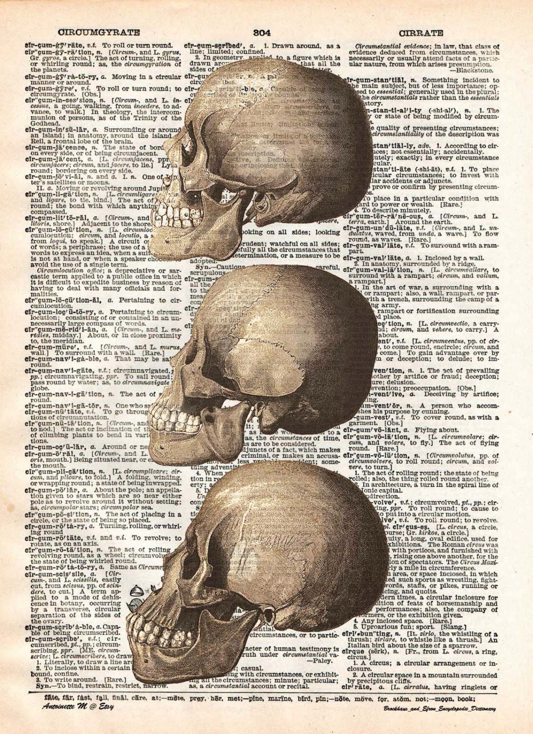 Skulls, William Cheselden Anatomy, art print, dictionary Art, Book Art, wall Decor, Wall Art Mixed Media Collage