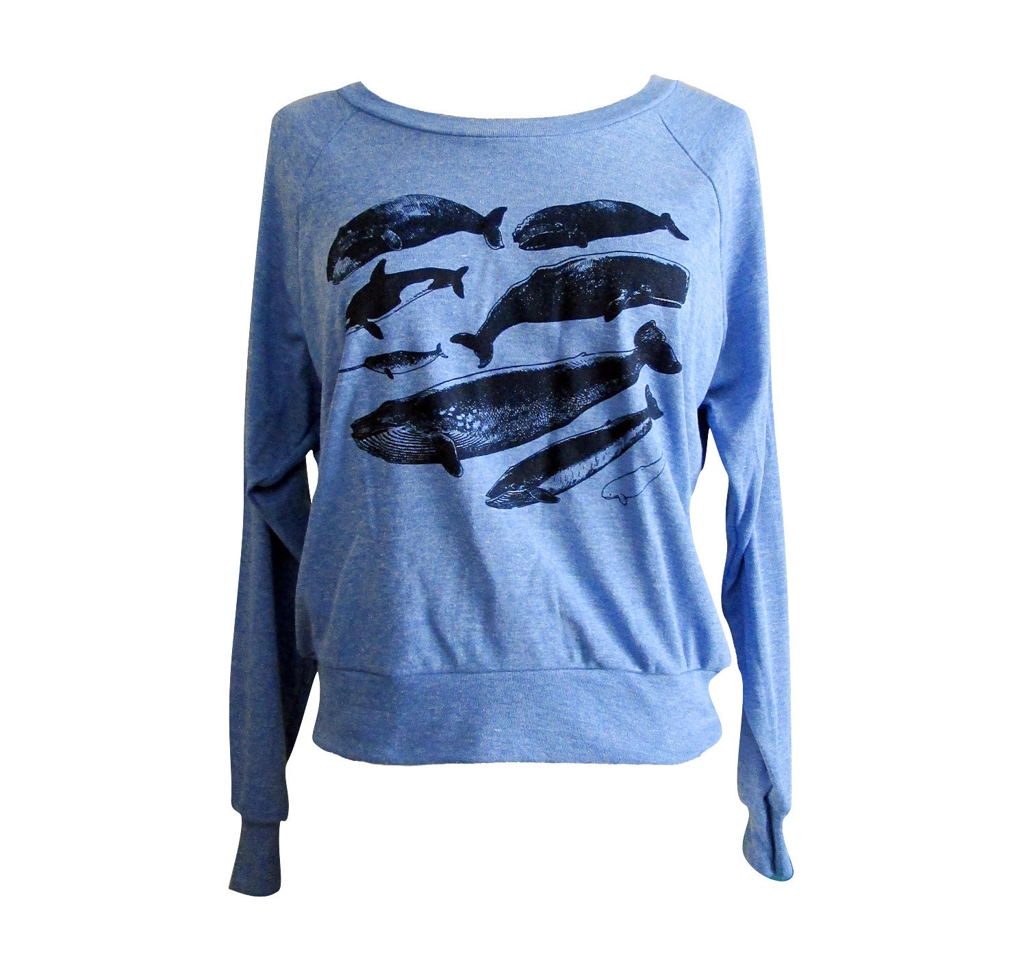 Whale Raglan Sweater - Nautical Marine Life American Apparel SOFT vintage feel - Available in sizes S, M, L