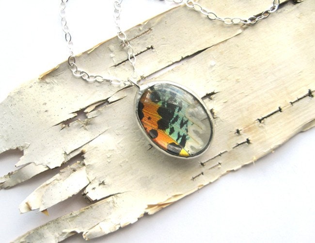 Rainbow sunset moth wing necklace - reversible glass real butterfly wing