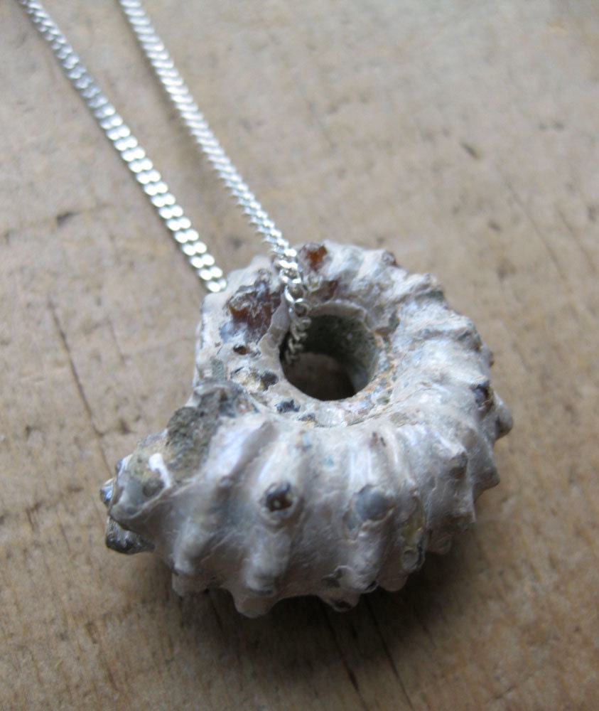 large spiny AMMONITE fossil sterling silver necklace