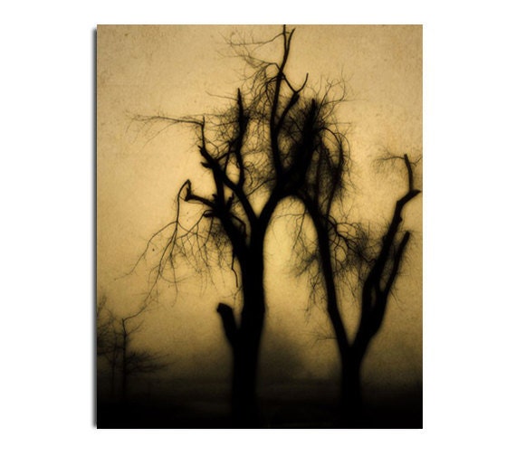 Gothic Nature, Fog Night Photograph, Vintage Browns, Surreal Print - Dark Gothic Trees
