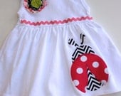 Hot Pink Ladybug Applique Dress - Size 3-6 months
