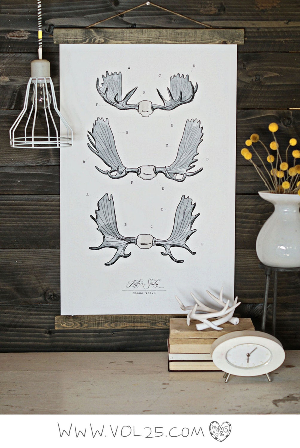 Vintage Inspired Science Posters - ANTLER STUDY Moose VOL 1