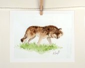 Coyote Art - Painting Original Watercolor - Animal Art Wolf Dog - Kids Women Men - Home Decor - Woodlands, Brown, Neutral Colors - 7.6 x 9.6