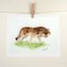 Coyote Art - Painting Original Watercolor - Animal Art Wolf Dog - Kids Women Men - Home Decor - Woodlands, Brown, Neutral Colors - 7.6 x 9.6