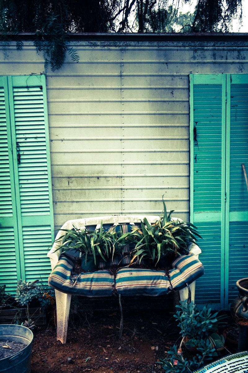 The Constant Gardener - Cottage - Nature Photography - Garden - Original Fine Art Photography