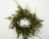 NEW- hand tied dried plumosa fern wreath- 16"