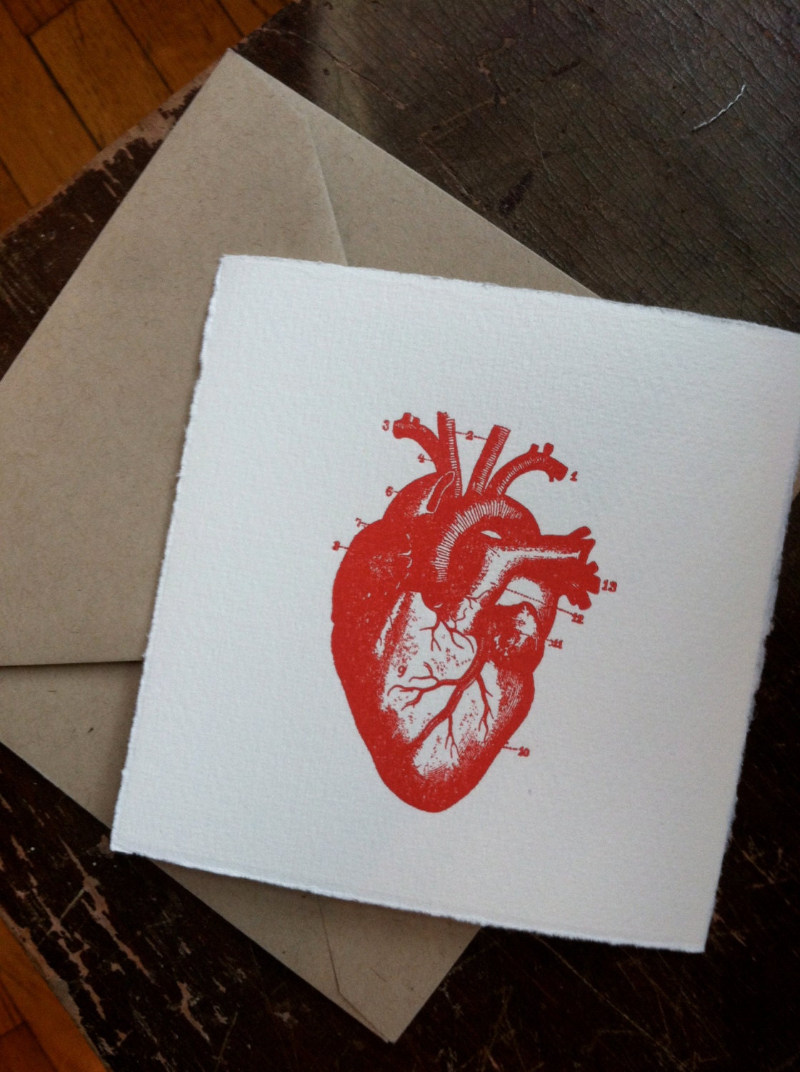 Anatomical Heart Single Letterpress Card or Valentine