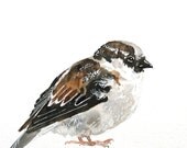 Watercolor Painting, Bird Painting, Original, 6"x9"