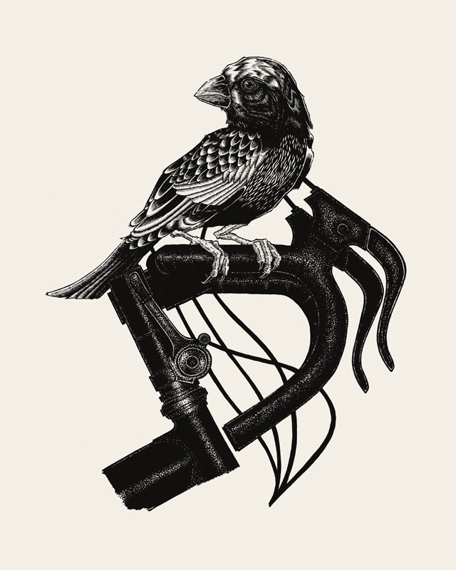 Bird on Bike // 16x20 Art Print