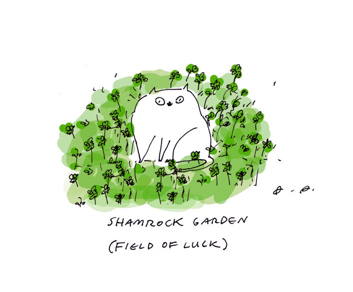 Shamrock Garden- Field of Luck- St. Patrick's Day Cards