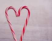 Fine Art Abstract Photograph. My Sweet Candy Cane Heart. Red. White. Silver. Romantic. 5x7 Print