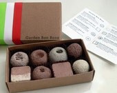 Cinco de Mayo Seed Bombs - Mexican cooking Garden Bon Bons