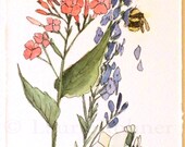 Watercolor Nature Botanical Garden Original Painting Flowers Bee Artwork by Laurie Rohner