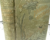 Antique children's natural history book, 1895, filled with illustrations, beautiful book