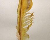 Golden feather -- original watercolour painting