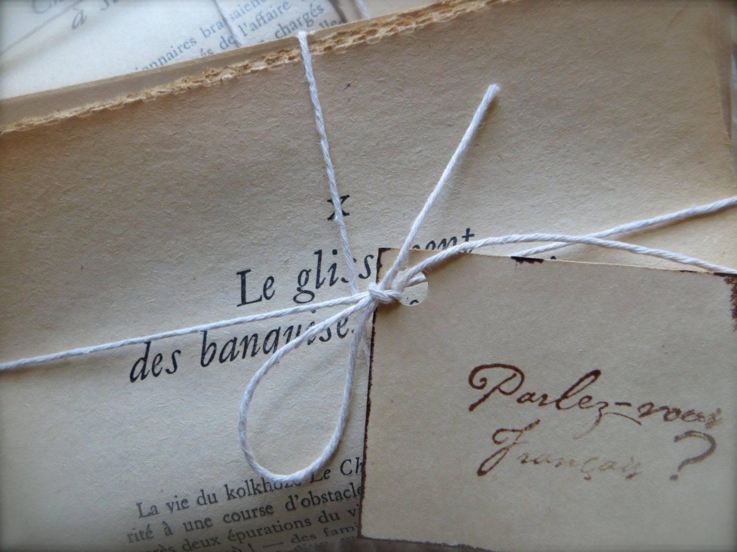 French Flea Market Paper Parcel