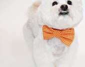 Oversized dog bow tie- pet bow tie- dog collar accessory- gingham bow tie-more options available