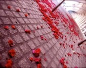 Red Drops - 5x7 Stunning Fllower Petals Mood Architecture Photography Print at Valencia Spain - Beautiful Romance Art Picture Decor