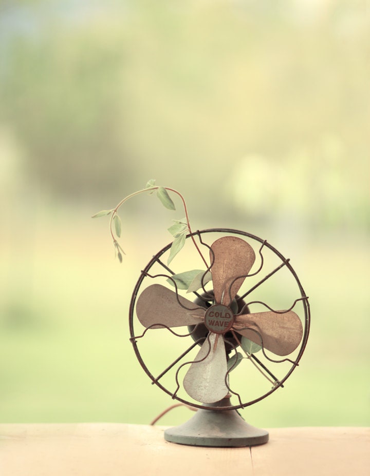 Still Life of a Vintage Fan with  on a Picnic Table