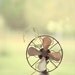 Still Life of a Vintage Fan with  on a Picnic Table