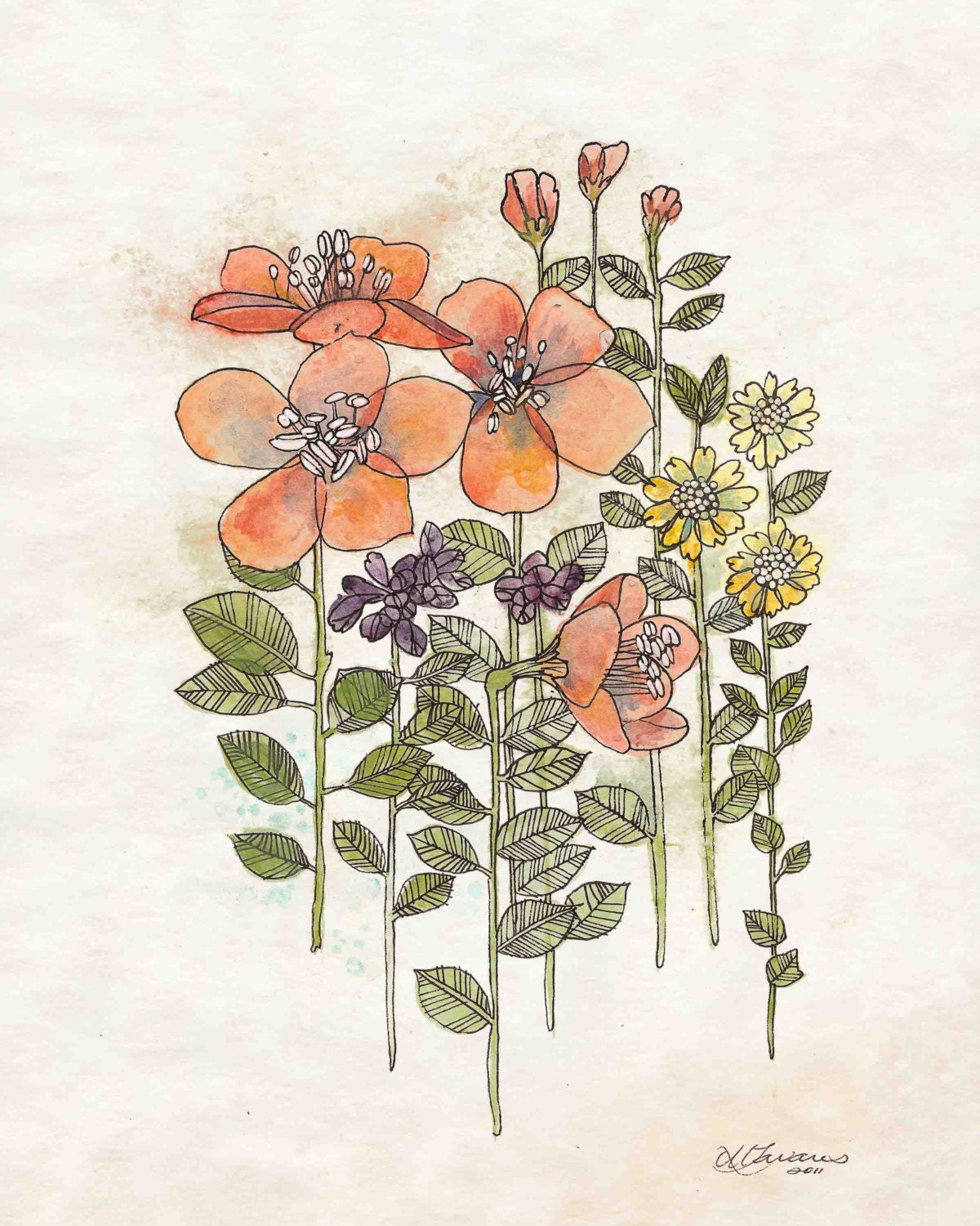 Coral Flowers Print 8"x10" - Rustic Flower Wall Art, Botanical Artwork, Coral Flowers Art