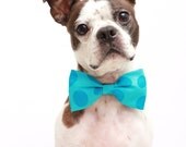 Blue Dr Seuss Whimsical Dots Dog Bow Tie - Dog Collar Accessories