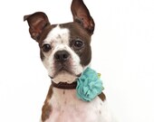 Sweet Pea Wool Felt Flower Dog Accessories