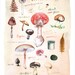 Mushroom poster, Fungi print, Watercolor botanical art, Natural history illustration, 11X14 Kitchen decor
