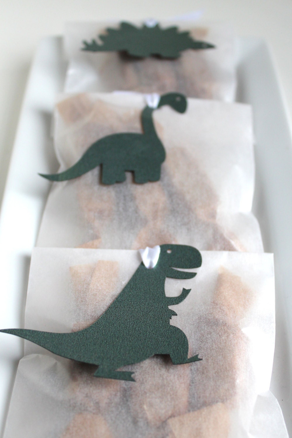 Forest Green Dinosaur Baby Shower Favors - Fleur de Sel Caramels in White Glassine Envelopes - 25 Guests