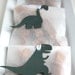 Forest Green Dinosaur Baby Shower Favors - Fleur de Sel Caramels in White Glassine Envelopes - 25 Guests