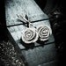 Gray Rose Bobby Pin Set