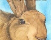 Brown rabbit / bunny drawing, watercolor, print - "Chocaqua"