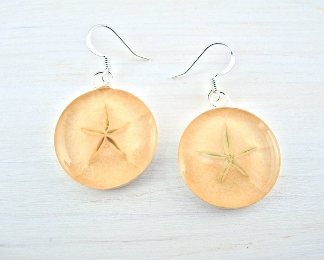 Real Apple Earrings - Real Fruit Jewelry