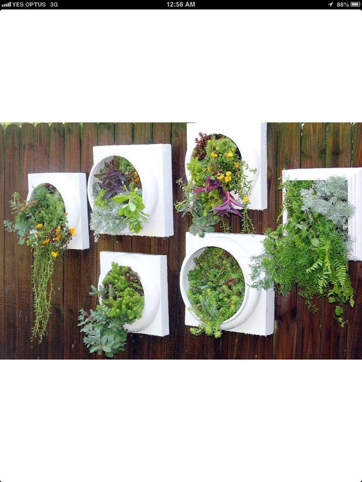 Kitchen wall herb garden, Perfect fresh herbs in an elegant wall display