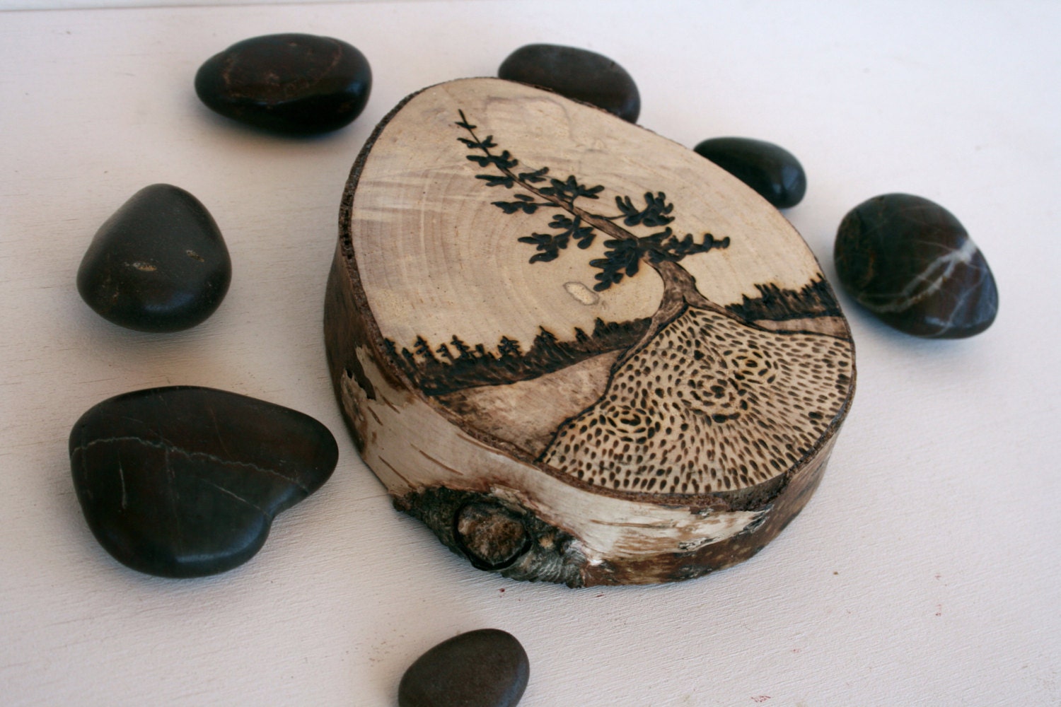 Old Jack Pine -  Woodland Nature Art  - Original Woodburning Art on  Birch Wood Round