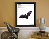 Space Bat // Zoological Universe Series // 8x10 Science and Nature Fine Art Print