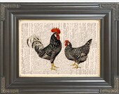 BOGO SALE  Bold speckled black and white chickens rooster printed as dictionary art print on old antique dictionary book page.  item No. 543