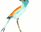 Bird Watercolor Original - Bird of Paradise