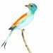 Bird Watercolor Original - Bird of Paradise